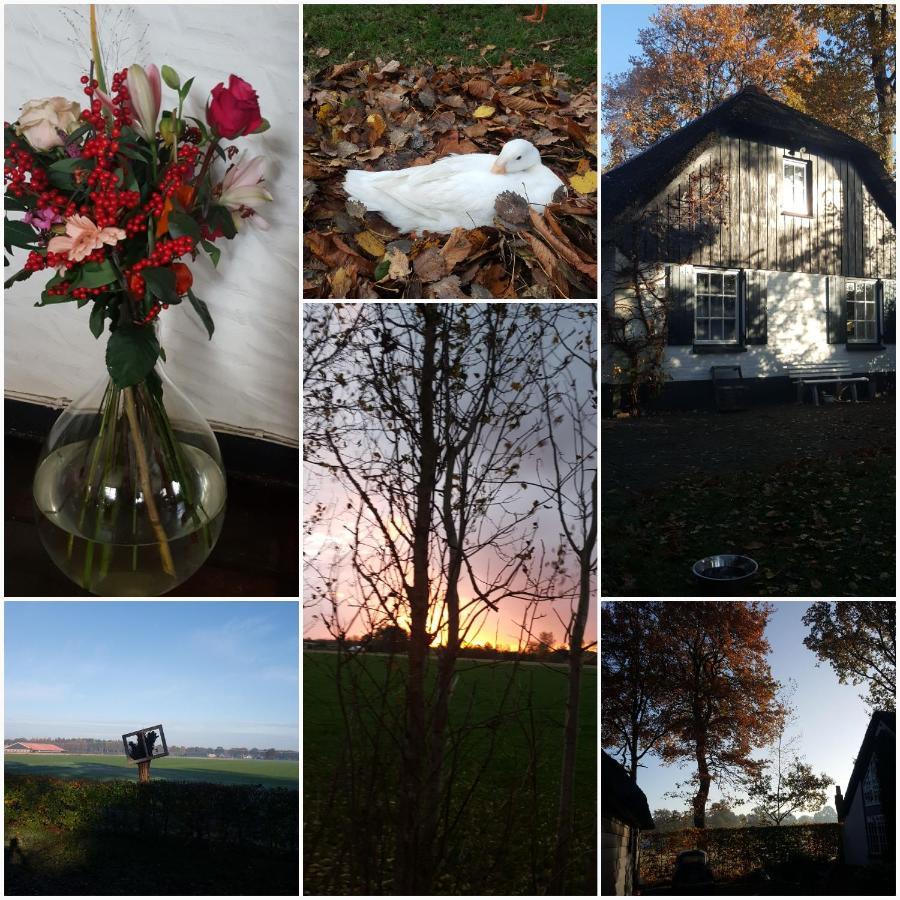 Bed and Breakfast Grenier'S Punthorst Exteriér fotografie