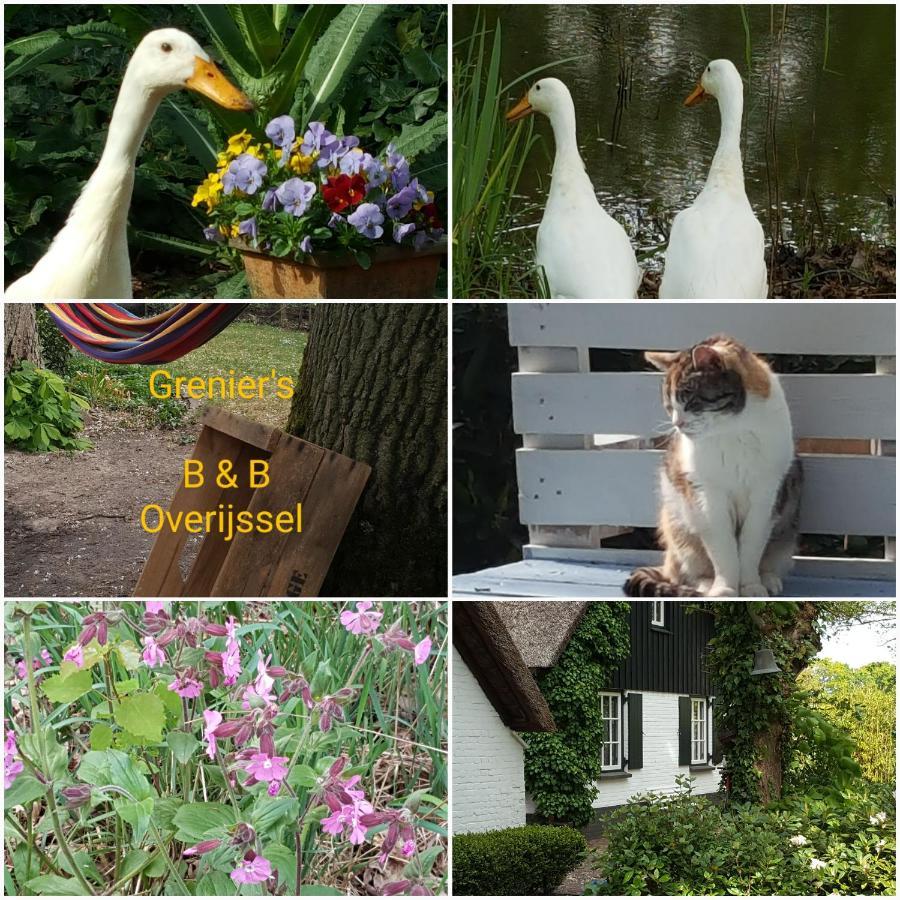 Bed and Breakfast Grenier'S Punthorst Exteriér fotografie